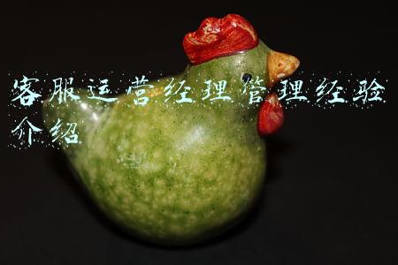 客服运营经理岗位职责(客服部经理岗位职责)