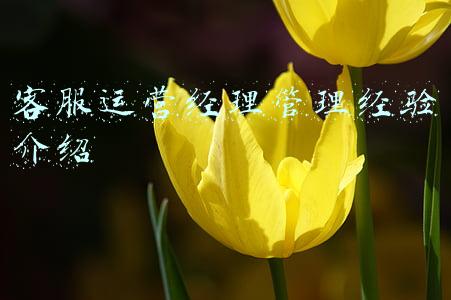 客服运营经理管理经验介绍
