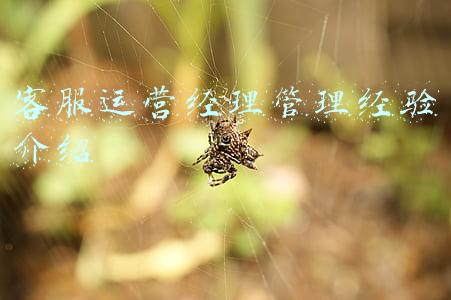 客服运营经理管理经验介绍