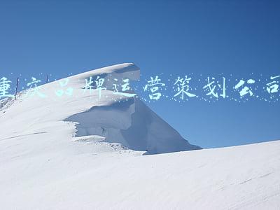 重庆品牌运营策划公司
