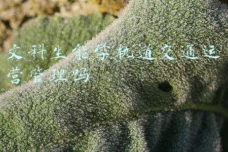 文科生大学排名(文科类大学如何选？2021中国文科实力200强高校公布：家长可收藏)