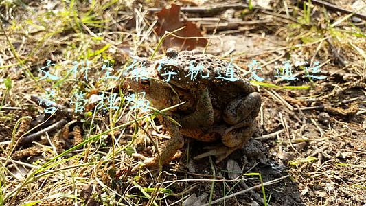 文科生热门专业(文科中“很受欢迎”的7个专业，关注度很高，报考人数也不少)