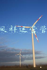 老凤祥总经理(销售额突破500亿！第20届老凤祥上海国际首饰文化节暨首届凤祥喜事荟开幕)