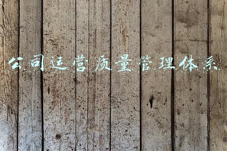 公司质量管理体系范本(质量体系口诀)