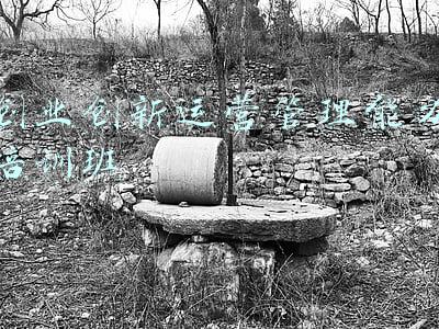 创业创新运营管理能力培训班