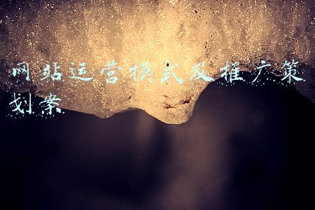 网站运营模式及推广策划案