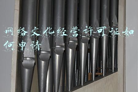 餐饮网络经营许可证怎么申请(网络经营许可证怎么申请)