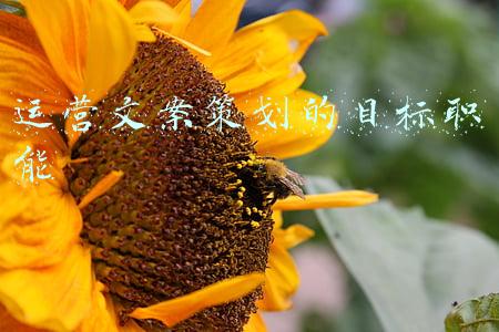 运营文案策划的目标职能
