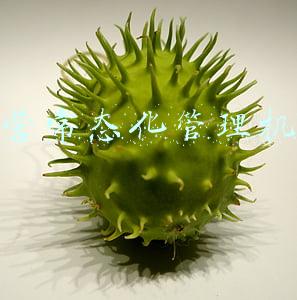 防溺水常态化管理机制(联防联控不留死角 临沂建立学生防溺水工作联席会议制度)