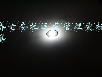 养老委托运营管理费标准