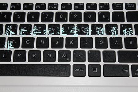 养老委托运营管理费标准
