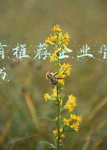 有没有推荐企业管理运营的书