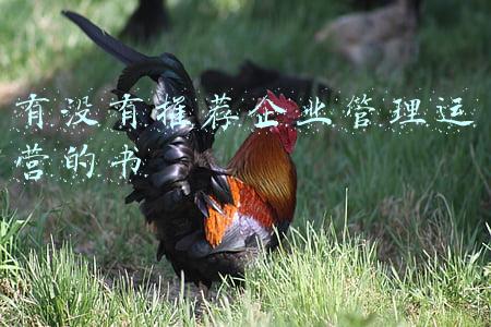 有没有推荐企业管理运营的书