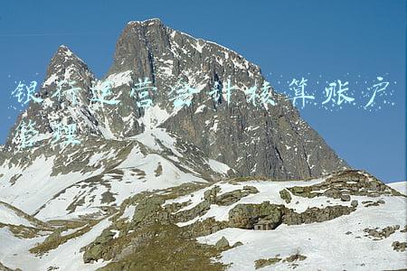 账户管理业务(@缴存单位，请查收这份2021版《缴存业务办理须知》解读)