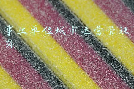 事业单位城市运营管理岗