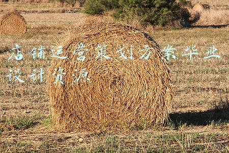店铺运营策划方案毕业设计资源