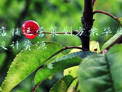 店铺活动策划方案(实体店做营销活动，这三个方案是必选)