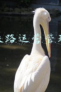 高速铁路运营管理部门