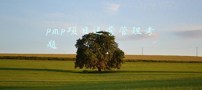 2021年pmp考题(PMP知识体系)