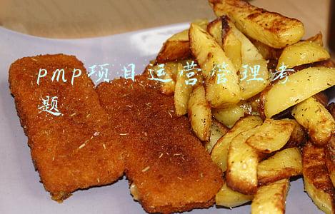 pmp项目运营管理考题