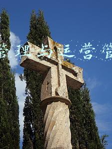 物流管理与运营管理的区别