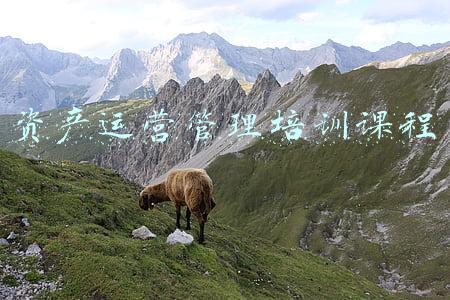 资产管理怎么做(资产管理包括哪些方面？)