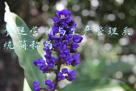 货运营销与生产管理系统简称为