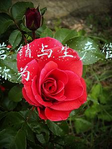 生产企业erp管理系统(工业企业管理系统erp)