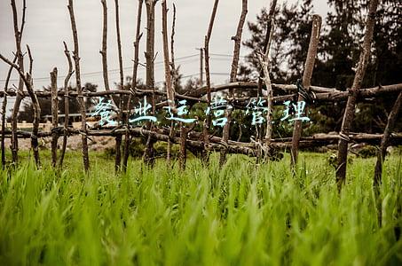 限上住餐业(1-10月新北区限上批零住餐业销售额（营业额）稳步增长)