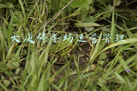 大厦停车场运营管理