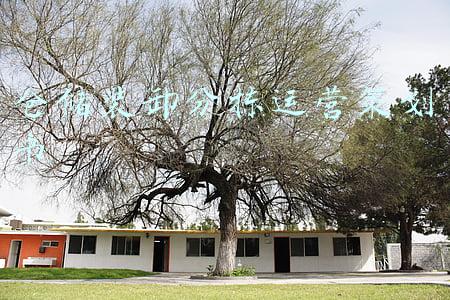 物流仓储分拣方案(电商仓分拣管理解决方案)