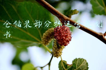 仓储装卸分拣运营策划书