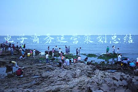 电子商务运营策划总结