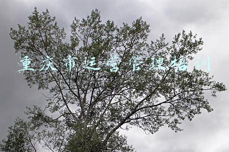 重庆市运营管理培训