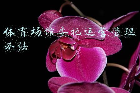 体育场馆委托运营管理办法