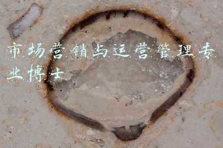 市场营销学博士好就业吗(市场营销专业毕业生都去哪里了？这个专业有前景吗？)