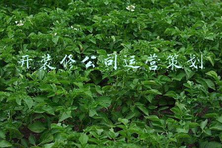 开装修公司运营策划