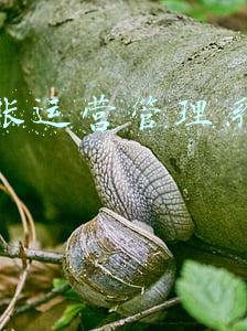 易代账官网登录(小微企业上云可以有多简单，一款SaaS够不够？)