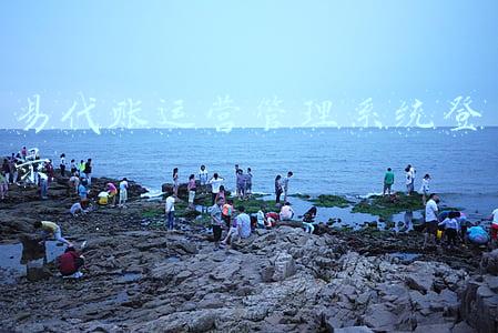易代账运营管理系统登录
