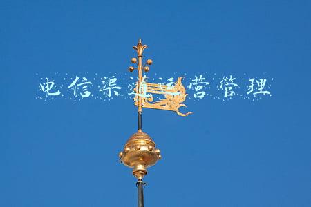 电信渠道运营管理