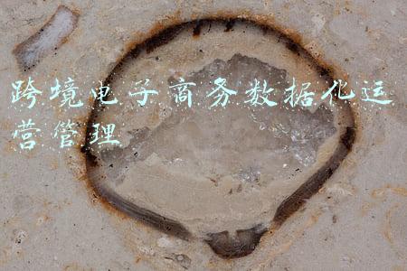 跨境电子商务数据化运营管理