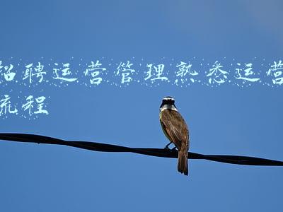工作流程不熟悉(水平越差的领导，越喜欢对员工做出这3个要求，怪不得不受待见)