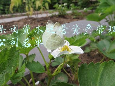 集团资产管理部(杭州市交通投资集团有限公司资产管理部（法务部）副部长孙洁接受监察调查)