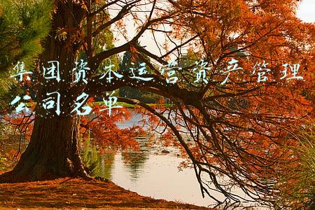 资产管理股份有限公司(中国长城资产管理股份有限公司原党委委员、副总裁胡小钢被“双开”)