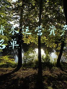 资本资产定价模型(陪你学习 |“有效市场假说”和“资产定价模型”)