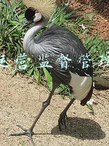 银行运营监督管理制度
