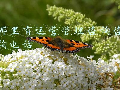 运管咨询服务电话(全国各省市交警路政救援电话汇总 卡车路上抛锚打个电话就行)