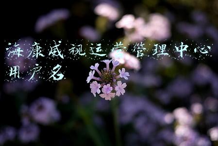 海康威视用户名密码(海康威视摄像机初始用户名和密码是什么？海康摄像头重置密码方法)