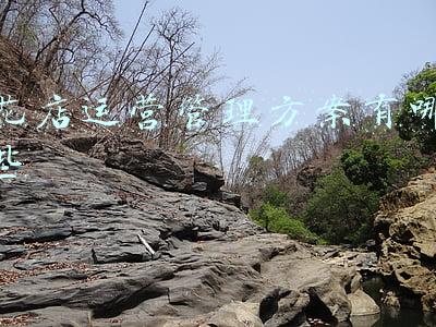 花店运营模式(花店不改变经营模式，仙女也无力回天，浅谈未来花店运营模式)