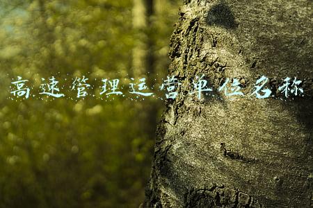 高速管理中心属于什么单位(春节假期总流量达120万台次，衡阳高速交警全员在岗疏堵保畅)